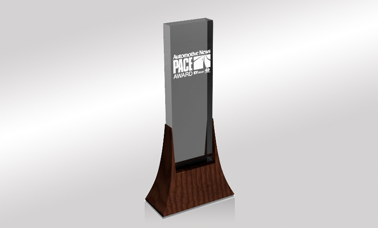 JSS �ٻ�PACE�� ����ʹ��.jpg